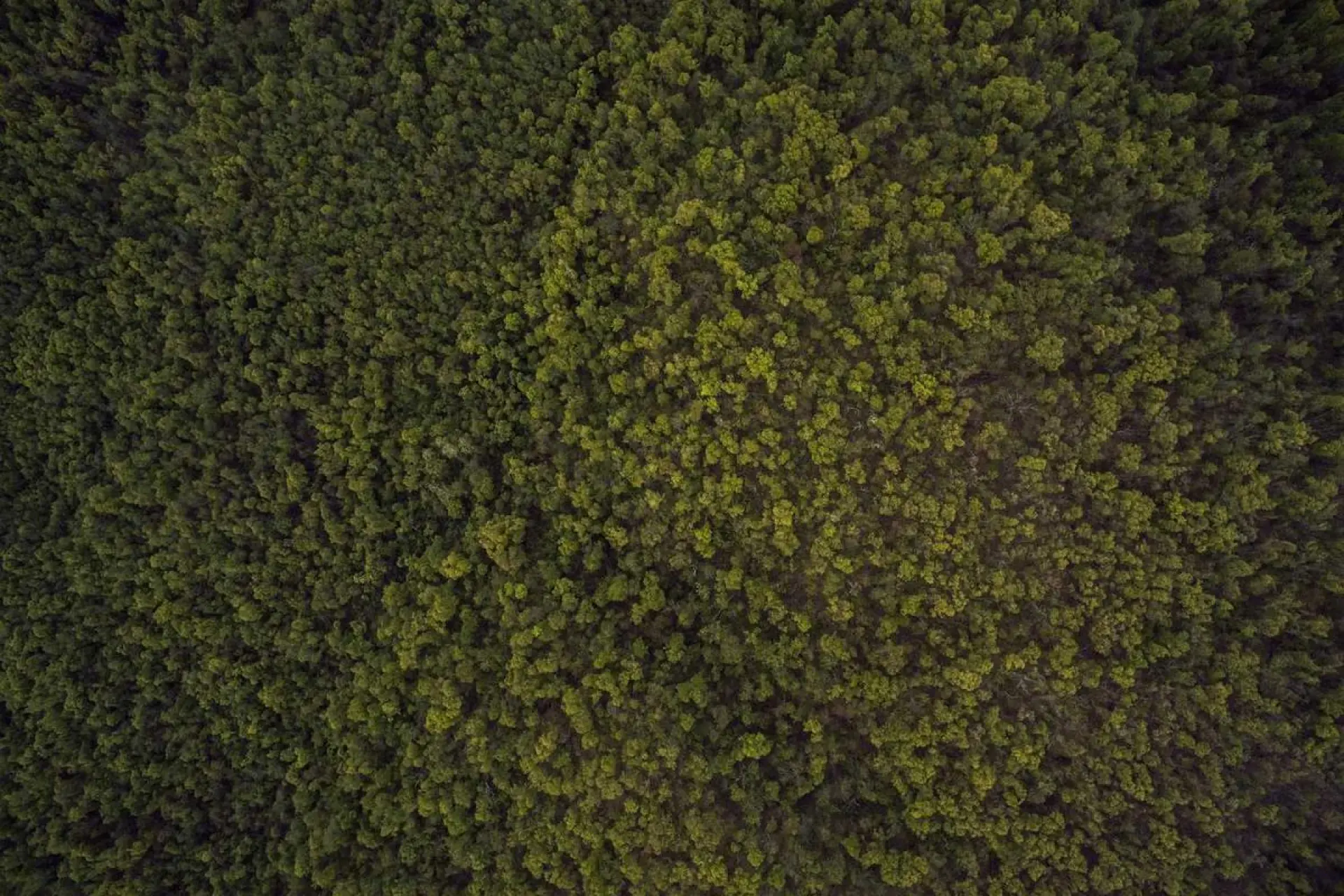 ক্লাব টিম এর নতুন কর্মসূচি ঘোষণা