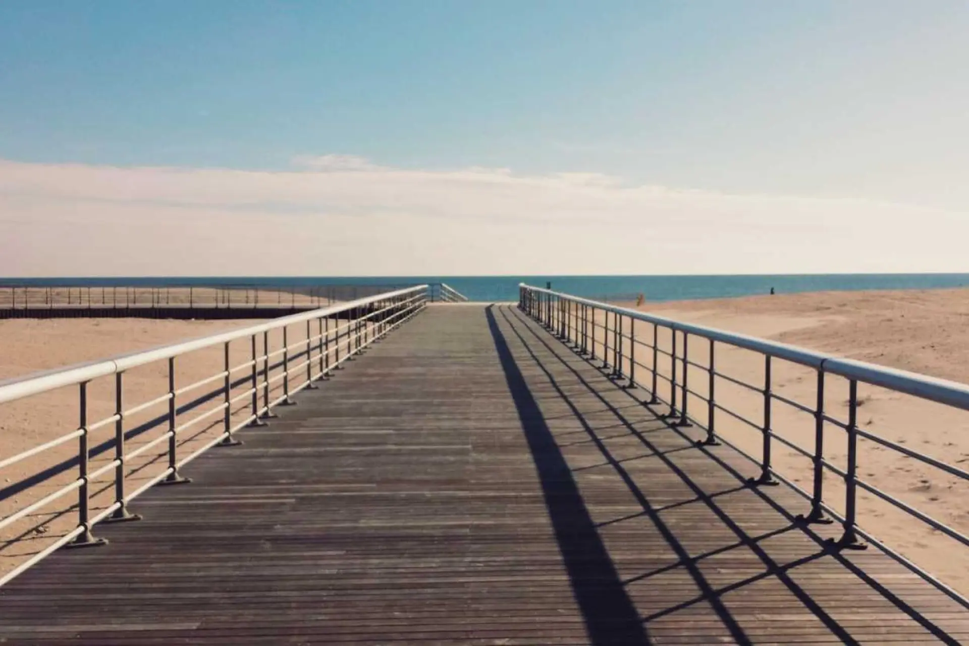 সরকারের নতুন শিক্ষা নীতি ঘোষণা