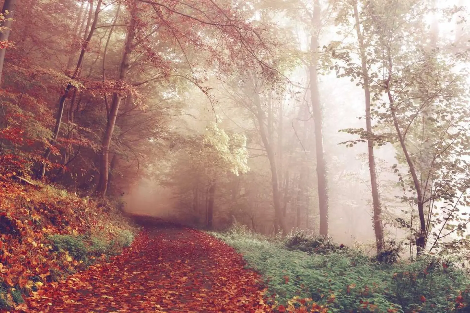 রাজনৈতিক অর্থনৈতিক নিয়ে আলোচনা