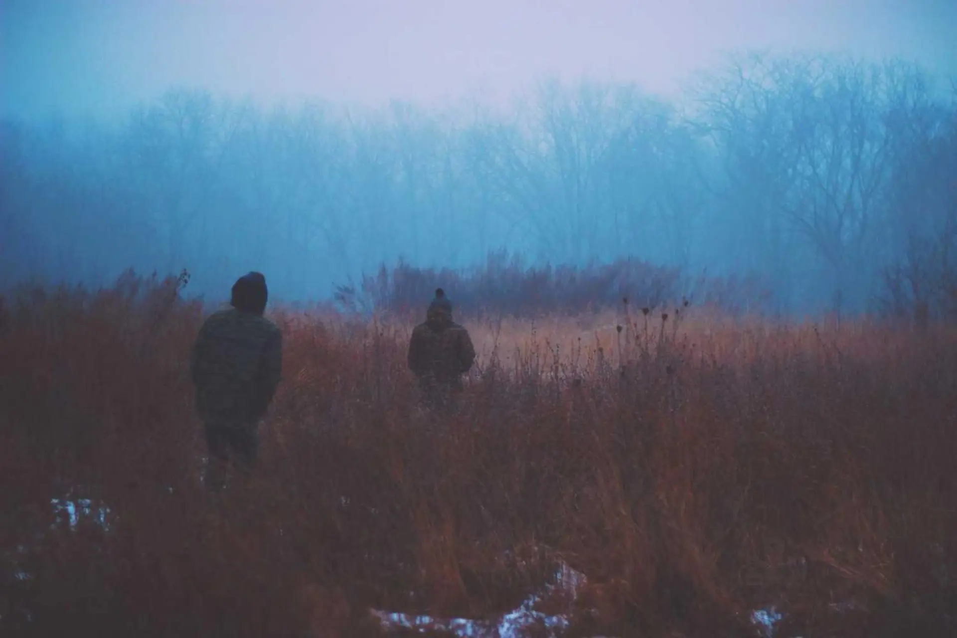 রাজনৈতিক স্বাস্থ্য নিয়ে আলোচনা