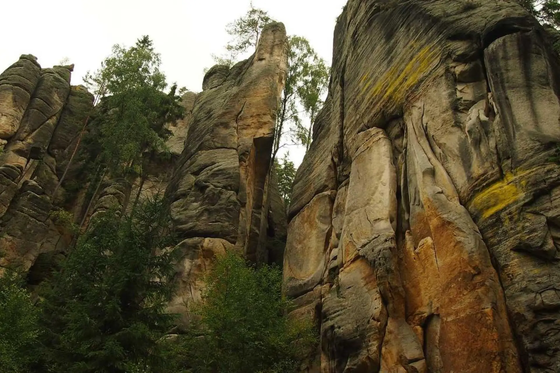 ডিজিটাল সিস্টেম চালু