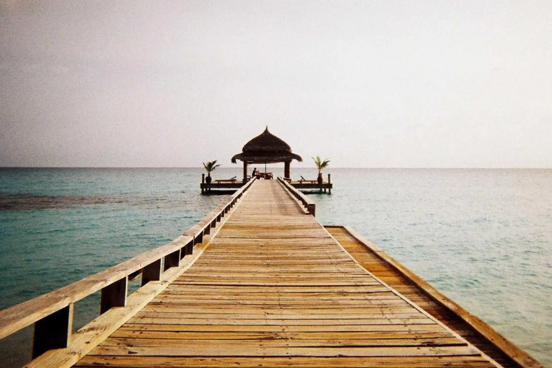 জাতীয় কৃষি কমিটি গঠন