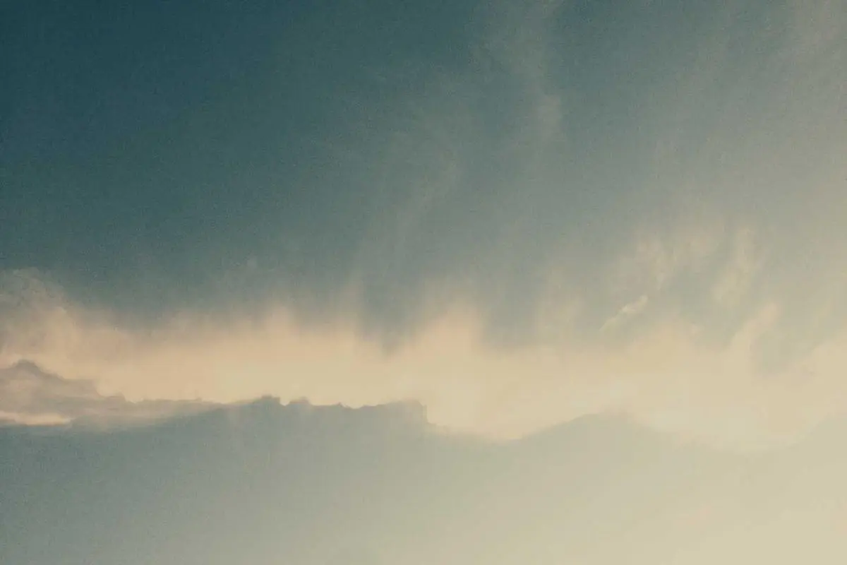 জাতীয় শিক্ষা কমিটি গঠন