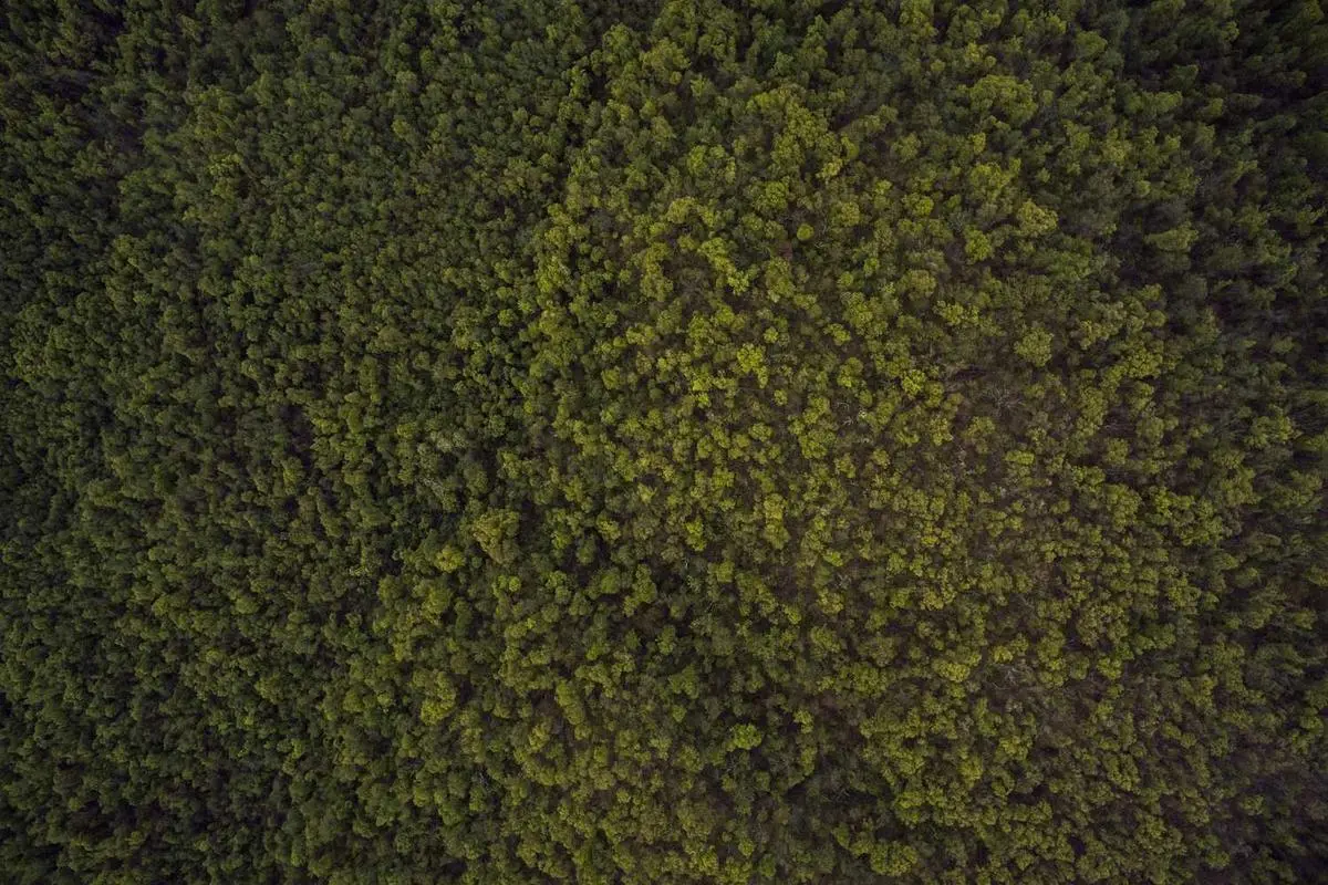 ক্লাব টিম এর নতুন কর্মসূচি ঘোষণা