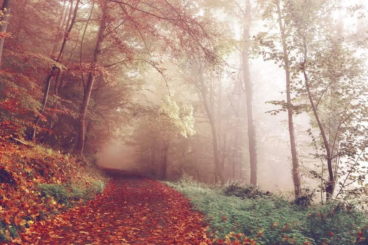 রাজনৈতিক অর্থনৈতিক নিয়ে আলোচনা