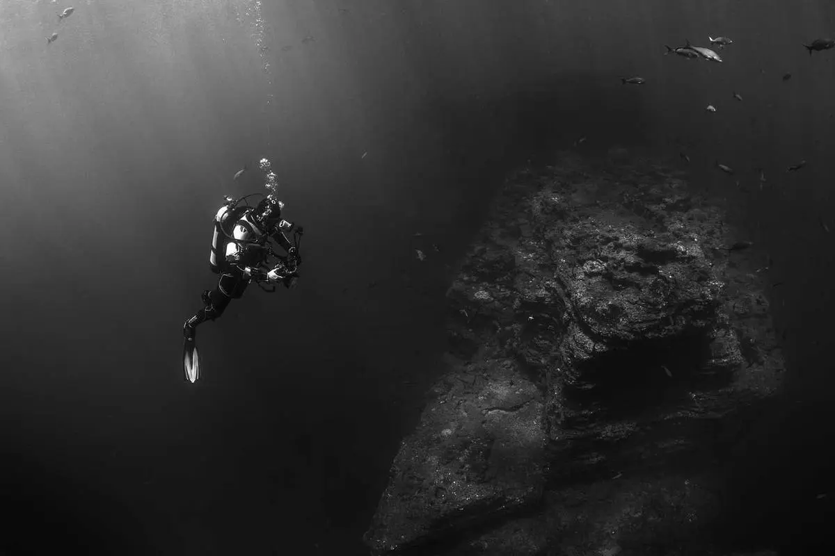 প্রিমিয়ার লীগ দল এর জয়