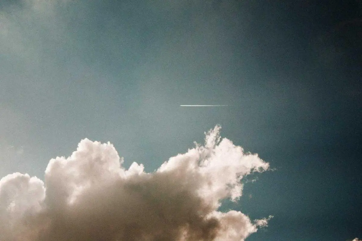 জাতীয় শিক্ষা কমিটি গঠন