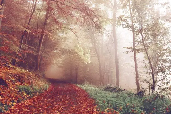 রাজনৈতিক অর্থনৈতিক নিয়ে আলোচনা