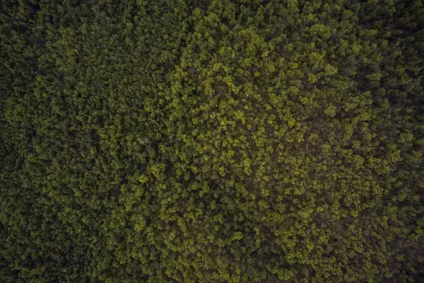 বিনোদন জগতে নতুন সংবাদ