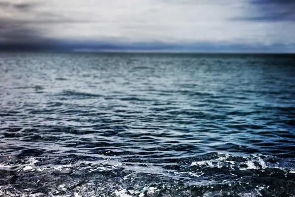 সরকারের নতুন শিক্ষা নীতি ঘোষণা