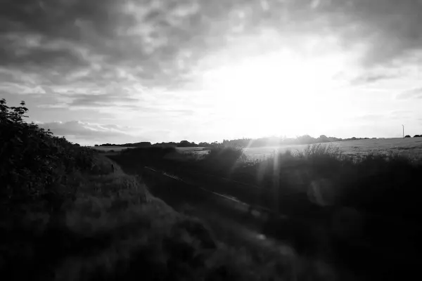 ডিজিটাল প্ল্যাটফর্ম চালু